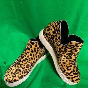 Steve Madden Wrangler Wedge Shoe